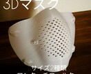 PITATT 3D print maskます フィルタ付き3Dマスクを代行作成します イメージ1