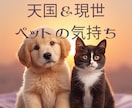 ペットの気持ちをお伝えします 特定の出来事などの、ペットの心を天界の視点でお届け イメージ1