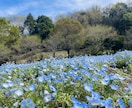 笑って泣いてスッキリ!あなたのお話聞きます シンママ経験者 人生いろいろ、笑って泣いて笑ってきました! イメージ4