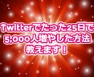 簡単！Twitterのフォロワーの増やし方教えます Twitterでフォロワーを25日で5,000人増やした方法 イメージ2