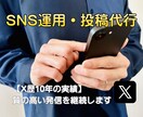 X歴10年がSNS代行！丁寧な投稿を継続します 【全ジャンル対応】10年の実績であなたの発信を温かく支えます イメージ1