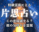 彼の気持ちを霊視し、恋愛成就の可能性を占います 彼との未来は？二人の相性、片思い、社内、友達、遠距離、職場 イメージ1
