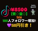 質◎量◎SNS 5000フォロワー売ります TikTokフォロワーを増やします！ イメージ1