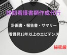 看護師13年が代行！訪看計画書・報告書の作成します 看護師13年の知恵で代行！訪問看護計画書・報告書を作成します イメージ1