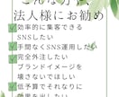月8投稿/Instagramを運用代行致します あなたの意図を汲み取った投稿の土台作りをお約束 イメージ4