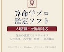 算命学鑑定ソフト人体星図と天中殺を自動鑑定します 生年月日入力だけで人体星図・天中殺を自動算出。PDF出力対応 イメージ1