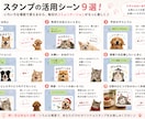 写真からペットのLINEスタンプを作成します 大切なうちの子を世界にひとつのスタンプに イメージ9