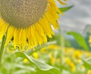 心の換気お手伝い致します 愚痴や相談、心の中のもやもや等、お聞かせください。 イメージ1