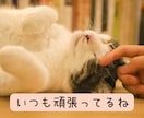 あなたの頑張ったこと聞かせて♡とにかく褒めます 「えらいね」「すごいね」をたっぷり☘️自慢話も大歓迎です⋆* イメージ9