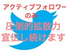 圧倒的な拡散！60リツイートなるまで拡散します 限定値下げ！！60リツイート達成まで拡散宣伝し続けます！ イメージ1