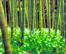 男性の意見をお伝えします 辛いと分かっているけれどどうしたら良いか… イメージ1