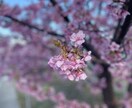 お子様のお話しお聞きします 支援学級のお子様は才能が秘められている！ イメージ6