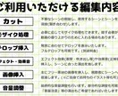 個人VTuber様の切り抜き動画2本製作します 3分動画であなたの個性を発信！Twitterの埋め込みにも◎ イメージ3