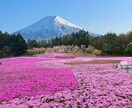 ターゲットの目を惹くバナー・ヘッダー作成致します 明確に想いを伝えるデザイン・綺麗めなデザインはお任せください イメージ5
