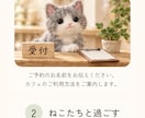 個人の活動やお店のホームページを制作します Webに詳しくなくても安心。相談から公開までお手伝い イメージ3