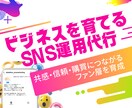 丁寧に、戦略的に。ビジネスを育てるSNS運用します 共感から信頼へ。ブランド力を高めるSNS設計 イメージ1