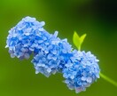 理想のあなたに近づくお手伝いをします 発達障害、不登校の問題を抱えているかたへ イメージ1