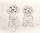 あなたの愛犬を鉛筆画に♪保護犬チャリティーしてます 丁寧にご要望を聞いて、五時間以上かけて大切に仕上げます。 イメージ3