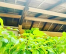 私は言霊カウンセラー17分間あなたの思いを出します どれだけの力が貴方にも在るのか。魔法をかけるのは貴方です イメージ1