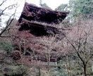 あなたのお話を聴きます 誰にもなかなか言えない話、聞いてもらいたい話をお聴きします。 イメージ3