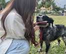 現役看護師が健康相談・お悩み相談聞きます 真面目なことからただただ話すのも♡ イメージ1