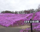 北海道の行きたいところへ、代わりに行きます 自由に旅行がしにくい昨今、あなたに代わって北海道を旅行します イメージ7