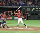 スポーツ出張撮影　大会、練習風景等を撮影します 連写撮影で躍動感とストーリー性を大事にします イメージ6