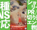 視聴者を1秒も飽きさせない映像を制作します SNSが伸びず悩んでいる方、ご相談ください イメージ11