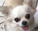 結婚・恋愛、お仕事等相談にのります 気持ちがすこしでも軽くなりますように。 イメージ1