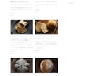 WORDPRESS によるホームページ制作承ります シンプル、綺麗、使いやすい、デザインをお届けします。 イメージ4