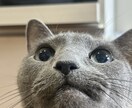 話したい方のお話聞きます 否定は一切しませんし口外もしませんのでお気軽に。 イメージ1