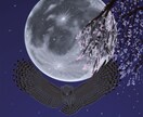 同人誌などの表紙イラストお描きします 文章のみで同人誌を出される方いかがでしょうか？ イメージ2