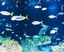 マイナスの考え方をプラスに転換します 幸運になれる考え方と想い方を指導します。 イメージ1
