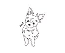 あなたのペットをシンプルイラストにします シンプルでアイコンにも使いやすいイラストをお届け！ イメージ6