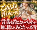 ペットの本音暴露し【唯一無二の家族】だと証明します 【今いるペットもお空の子も】言葉の壁超え魂の声を代弁します イメージ1