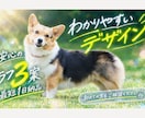 10/7新規・商品デザイン承ります 小さな予算で、大きく攻める。2万円以内のパッケージデザイン。 イメージ1