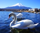 色々な場所の風景や物の写真撮影を代行します 駆け出しのカメラマンですがどうぞよろしくお願い致します、 イメージ7
