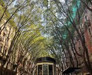 あなたの写真に“花”を咲かせます 見た景色、感じた想い、そのすべてを一枚に イメージ7