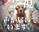 ペットと出会った意味/魂のつながりを霊視します 今あなたに伝えたい想いがペットから届いています。 イメージ1
