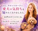 愛犬への愚痴をこぼしたい。優しく寄り添います 可愛いからこそ、ストレスが溜まる。占い有無選べます。 イメージ4