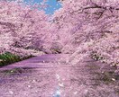 1ヶ月占い放題で、あなたの悩みにお答えします 占いっぱなしじゃなく、継続してサポートします。 イメージ1