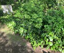 深夜に他愛のない会話や愚痴などの話し相手になります 「ただ静かに話を聞いて欲しい」そんな願いに応えます イメージ1