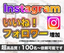 Instagramのいいねフォロワー増やします 【高品質】【減少ほぼ0】【30日補填保証】【垢BANなし】 イメージ1