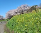 いやさかブログへの質問受け付けます コレどういう意味？リクエスト！もっと知りたい〜の謎チャット イメージ13