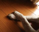 本気の悩み、愚痴、何てこたない話、何でも聞きます 経験豊富で秘密主義の人事マフィアが、あたなの魂★受け止めます イメージ4