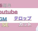 Youtubeの編集承ります 頼んでよかったと思える編集を心がけています イメージ2