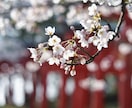 1日1組限定で、お相手の本音を霊視して占います 神霊の導きで、あの人の本心を見抜き未来をお伝えいたします イメージ5