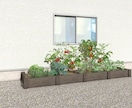 花壇のイメージパース作成します 理想の植栽スペースのお手伝いをします イメージ3