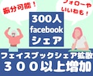 Facebookページフォロー数３００人増加します 【保証10日間】！シェアも同価格！いいねは１５００円 イメージ2