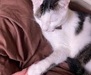 誰にも言えない悩み、恋愛相談、ただの話し相手します ただただ聞いてくれる話し相手が欲しいときってありませんか？ イメージ1